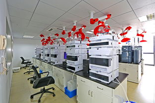 羅欣上海創新藥物與首仿藥物生產研發技術改造獲專項認定，助推產業轉型升級